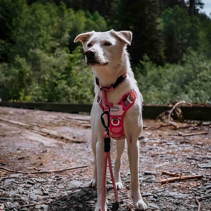 AUROTH Tactical Dog Harness for Small Medium Large Dogs No Pull Adjustable Pet - Image 7