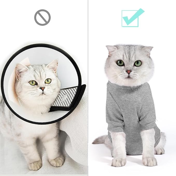 Dotoner Cat Surgery Recovery Suit - Image 5