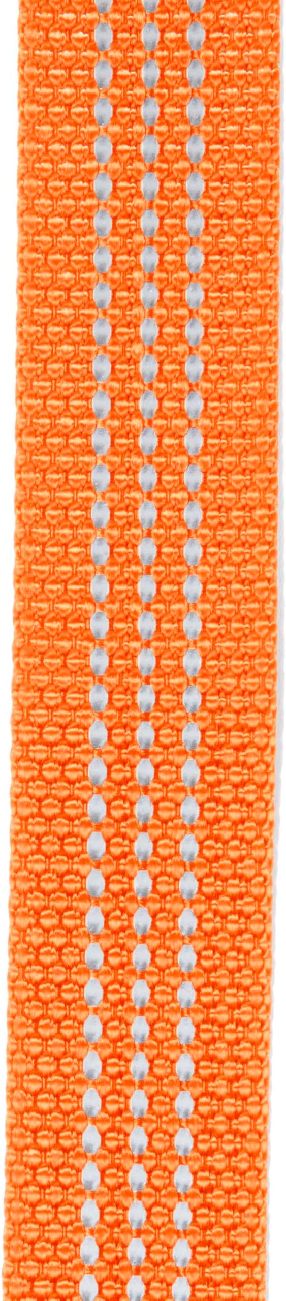 Carhartt Nylon Webbing Dog Collar, Fully Adjustable W/Durable Side Release - Image 3