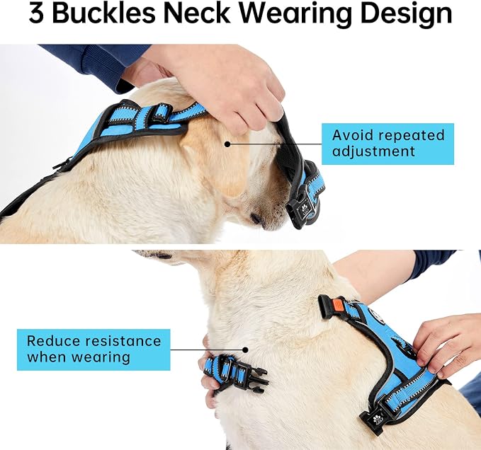 IVY&LANE No Pull Dog Harness for Small Dogs, Dog Vest Harness - Image 4