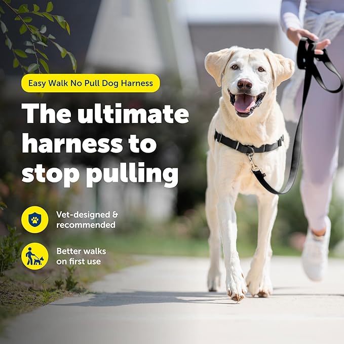 PetSafe Easy Walk Harness for Dogs - Image 3