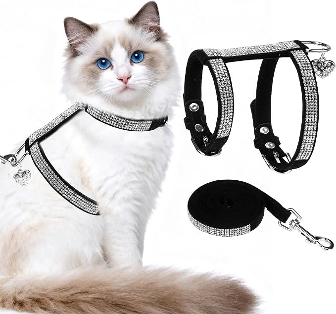 EXPAWLORER Cat Harness and Leash Set by EXPAWLORER