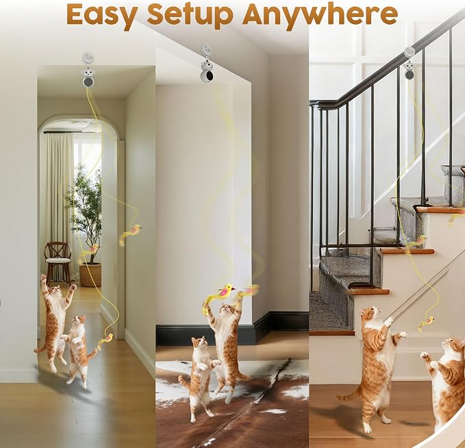Interactive Cat Toys for Indoor Cats: 2 in 1 Laser Pointer Cat Toy - Image 5