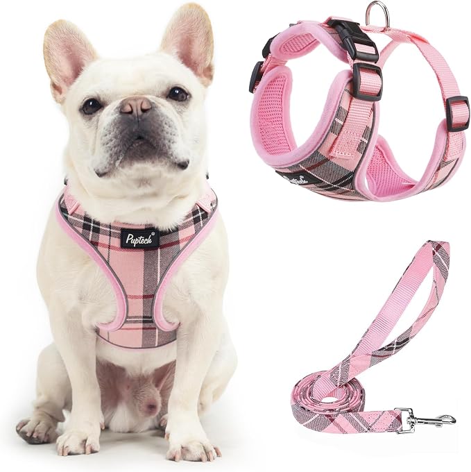 PUPTECK Soft Mesh Dog Harness and Leash Set Pet Puppy Cat Adjustable Reflective by PUPTECK