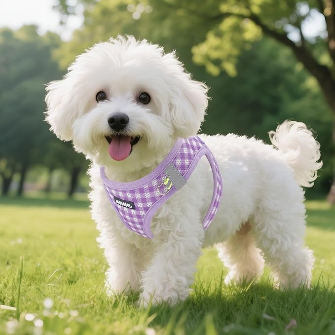 AIITLE Plaid Print Dog Harness Set – Lightweight, Reflective & Adjustable Vest - Image 8