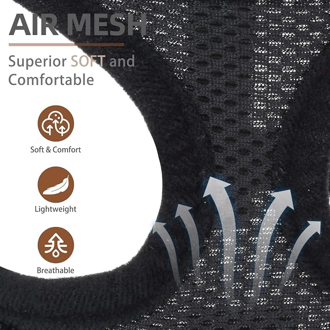 PUPTECK Soft Mesh Dog Harness and Leash Set Pet Puppy Cat Comfort Padded Vest - Image 2