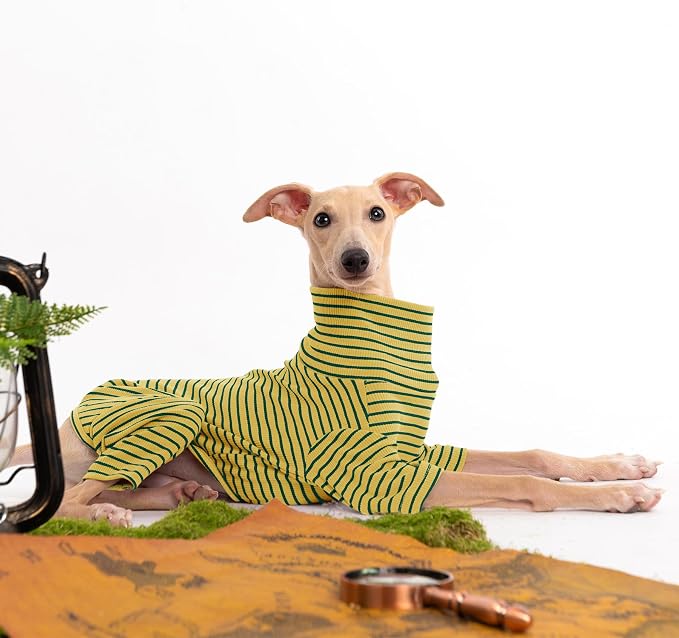 Dog Sweaters for Small Dogs Girls Boys, Striped Pet Sweaters for Fall Winter - Image 4
