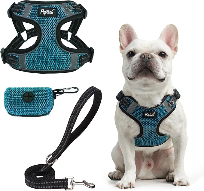 PUPTECK Dog Harness and Leash Set Medium Sized, Step in No Pull Adjustable by PUPTECK