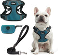 PUPTECK Dog Harness and Leash Set Medium Sized, Step in No Pull Adjustable by PUPTECK