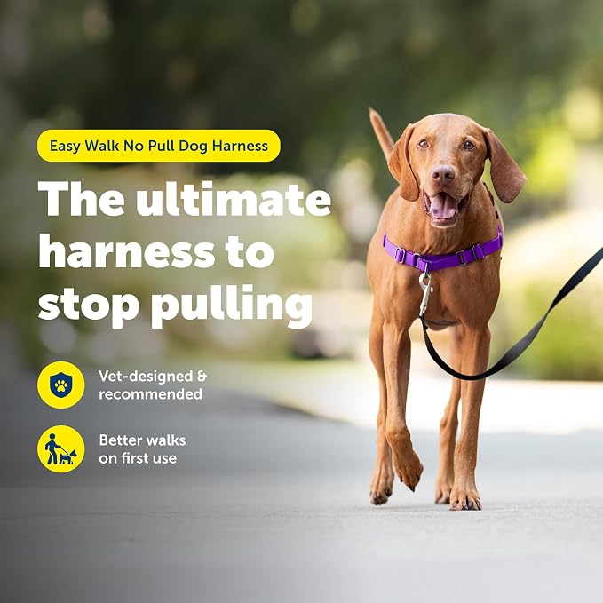 PetSafe Easy Walk Harness for Dogs - Image 3