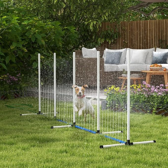 2 Piece Dog Agility Training Equipment Set by anwickjeff