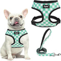 PUPTECK Soft Mesh Dog Harness and Leash Set Pet Puppy Cat Comfort Padded Vest by PUPTECK