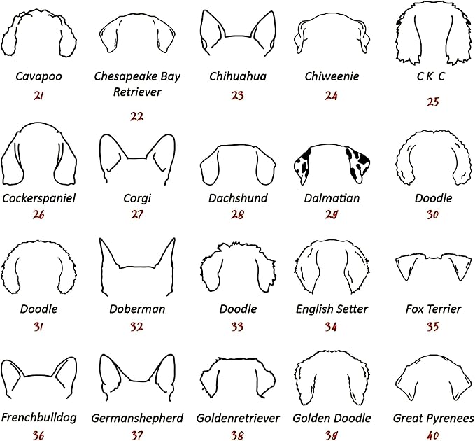 Personalized Dog Mom Sweatshirt, Custom Dog Ear Line Art Portrait Sweatshirt - Image 4