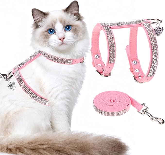 EXPAWLORER Cat Harness and Leash Set by EXPAWLORER