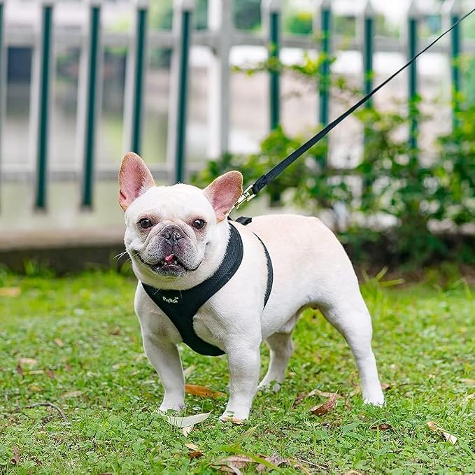 PUPTECK Soft Mesh Dog Harness and Leash Set Pet Puppy Cat Comfort Padded Vest - Image 7