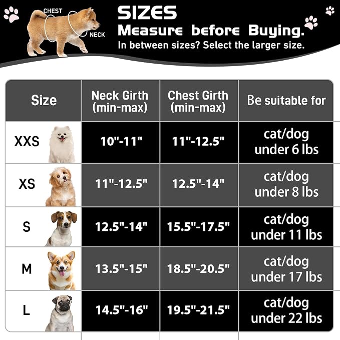 Soft Mesh Dog Harness and Leash Set, No Pull Puppy Harness and Leash Set - Image 4