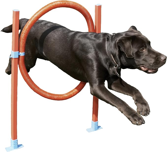 Agility Hoop Jump by Rosewood