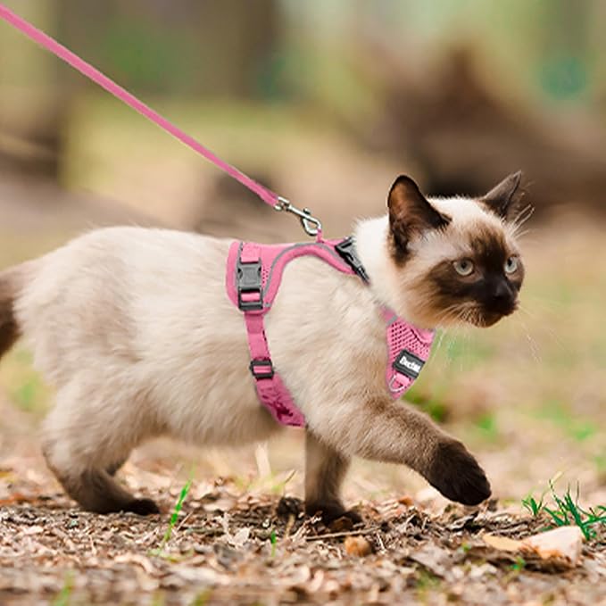Cat Harness and Leash for Walking, The Upgrade Can be Adjusted in Four - Image 6