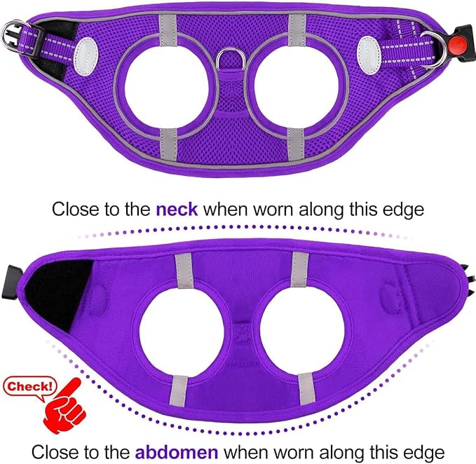 Joytale Small Dog Harness, Breathable Mesh Step-in Vest, Reflective Soft Padded - Image 6