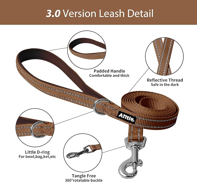 AIITLE Step in Dog Harness and Leash Set - Image 5