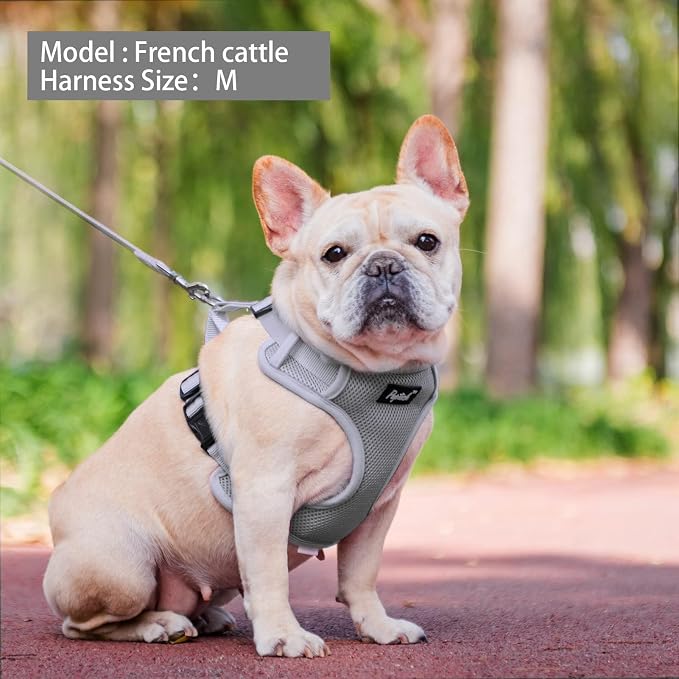 PUPTECK Small Dog Harness and Leash Set, No Pull Adjustable Puppy Cat Harness - Image 6
