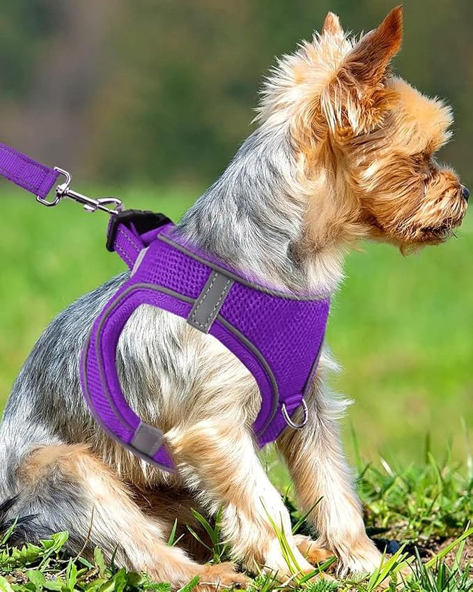 Joytale Small Dog Harness, Breathable Mesh Step-in Vest, Reflective Soft Padded - Image 2