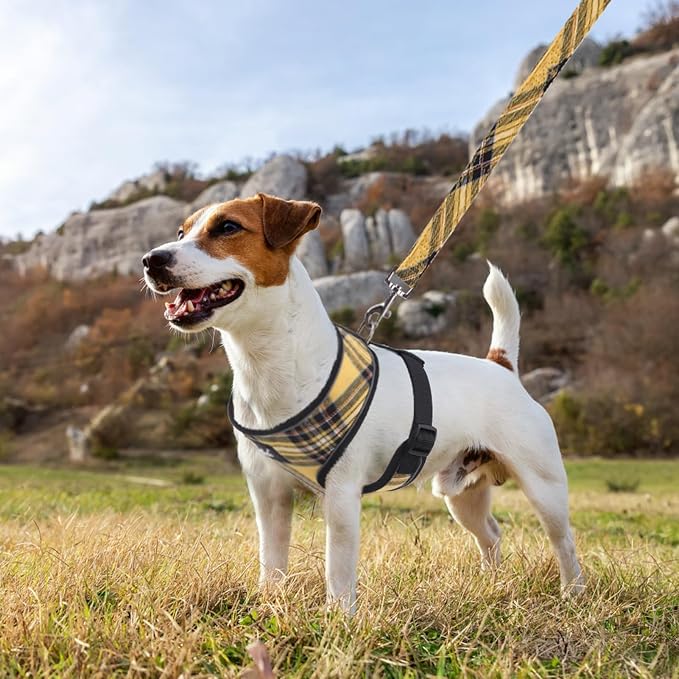 PUPTECK Soft Mesh Dog Harness and Leash Set Pet Puppy Cat Comfort Padded Vest - Image 6