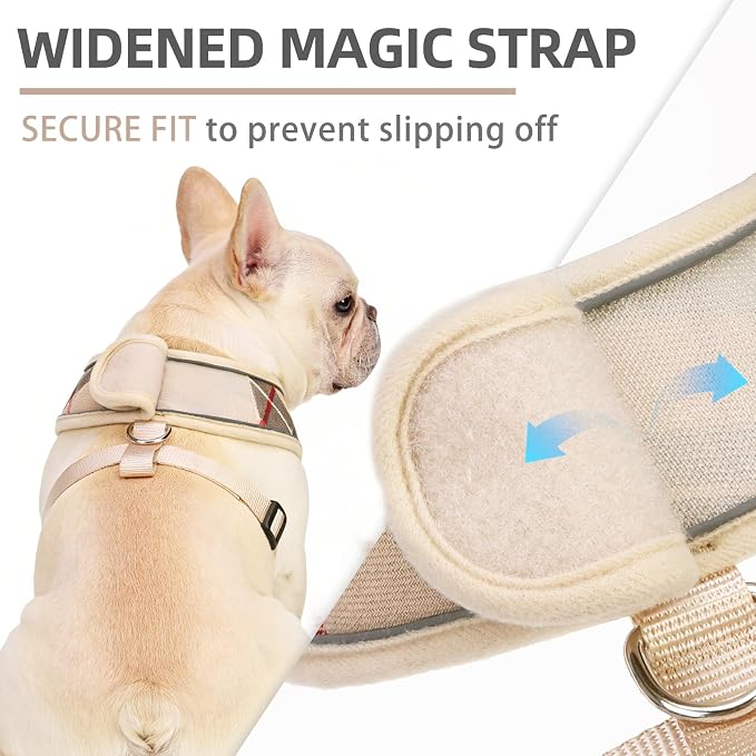 PUPTECK Soft Mesh Dog Harness Small Sized and Leash Set Pet Puppy Cat Comfort - Image 2