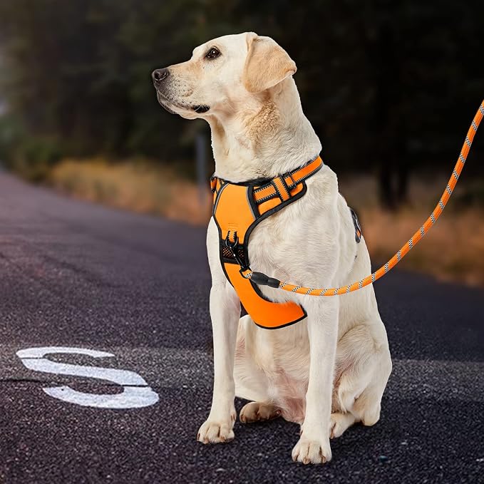 IVY&LANE No Pull Dog Harness for Medium Dogs, Dog Vest Harness - Image 6