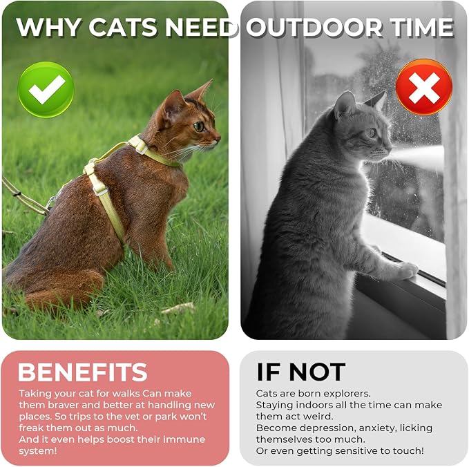 Cat Harness and Leash Set - Image 7