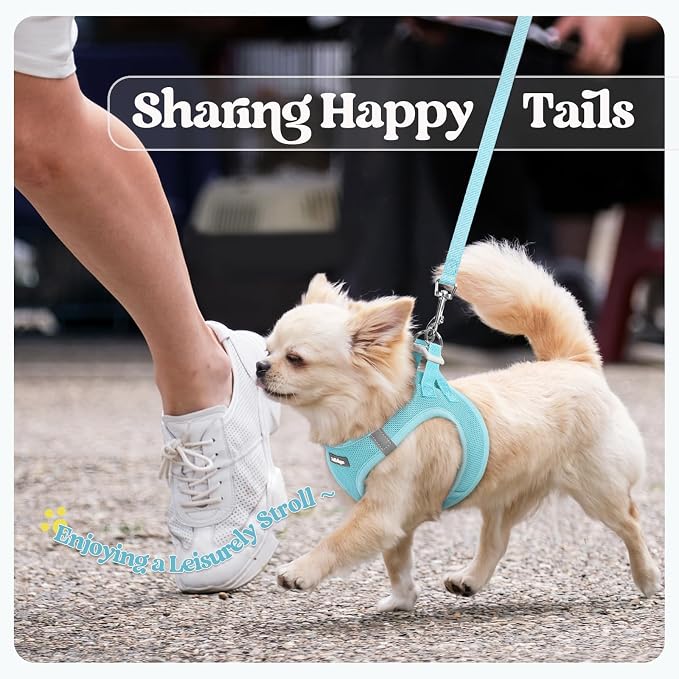 rabbitgoo Dog Harness Small Sized and Leash Set, Step in Soft Light Puppy Vest - Image 9
