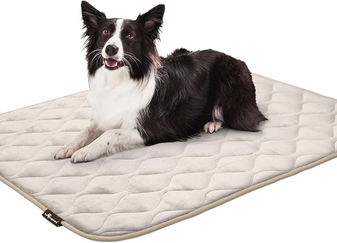 Paw Inspired Washable Padded Crate Mats - Image 7