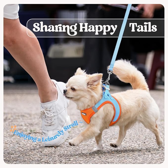 rabbitgoo Dog Harness Small Sized and Leash Set, Step in Soft Light Puppy Vest - Image 9