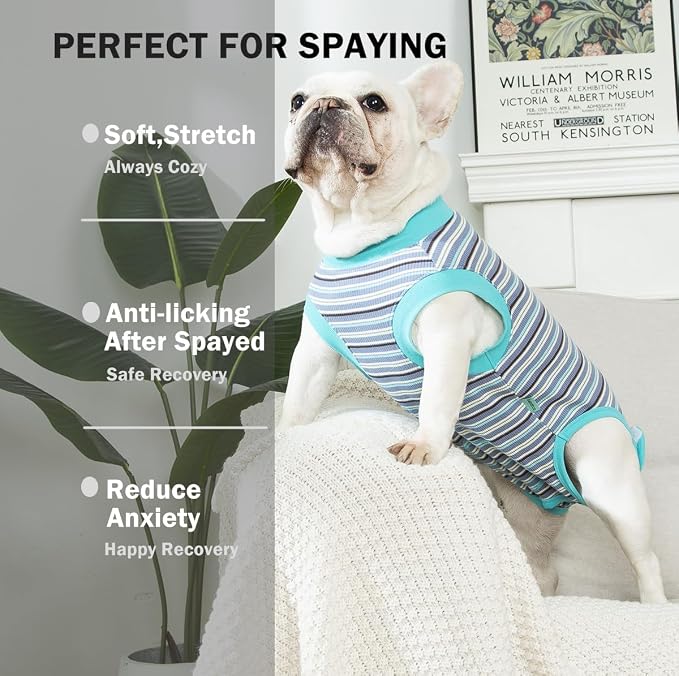 Sebdtico Recovery Suit for Dogs, Dog Surgery Suit Female Spay, Soft Dog Onesie - Image 2