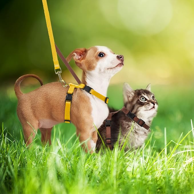 Outus 5 Pieces Adjustable Rabbit Harness and Leash Set Escape Proof Bunny - Image 5