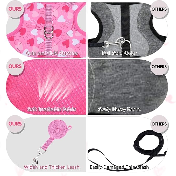 BINGPET Cat Harness and Leash Set Escape Proof - Image 5