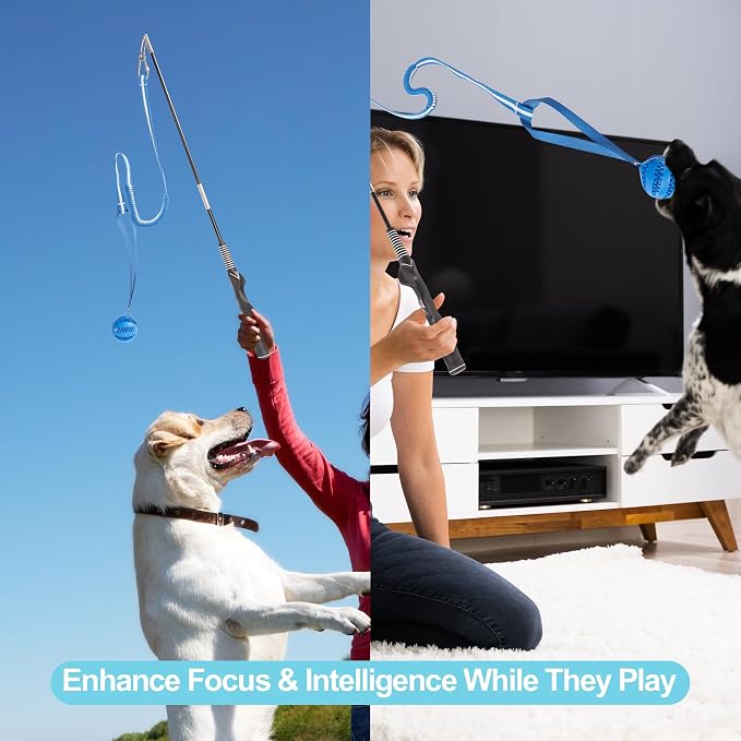 Flirt Pole for Dogs, Durable Dog Flirt Pole for Large Medium & Small Dogs - Image 6