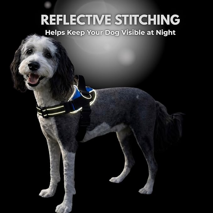 ShawnCo Essential Dog Harness, No-Pull Pet Vest - Image 7