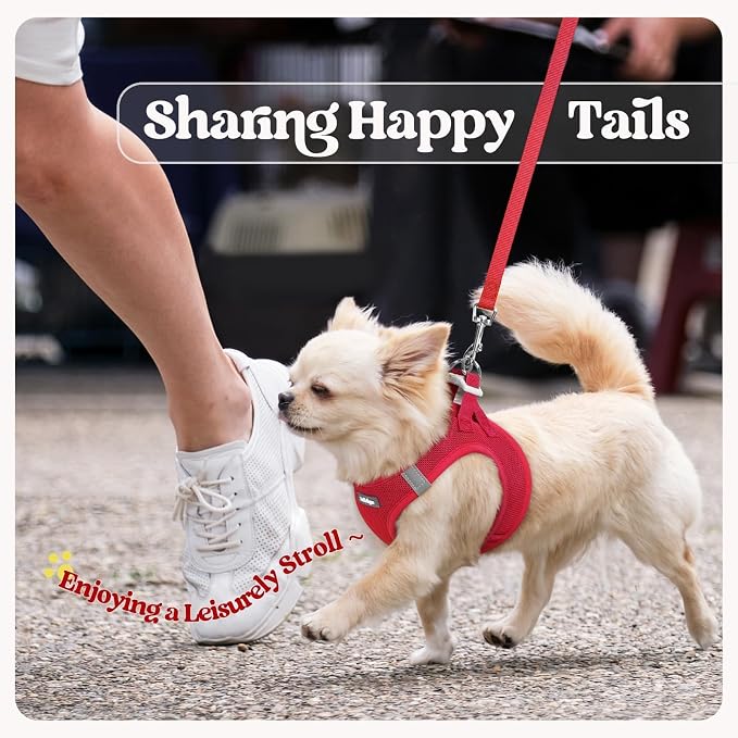 rabbitgoo Dog Harness Small Sized and Leash Set, Step in Soft Light Puppy Vest - Image 9