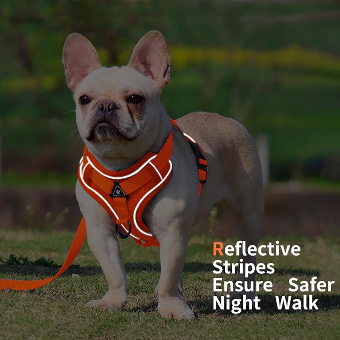 No Pull Dog Harness with Leash Set - Image 5
