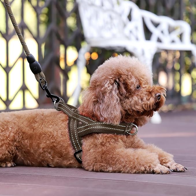 Plutus Pet No Pull Dog Harness - Image 6