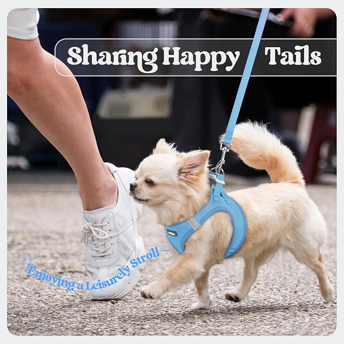 rabbitgoo Dog Harness Small Sized and Leash Set, Step in Soft Light Puppy Vest - Image 9