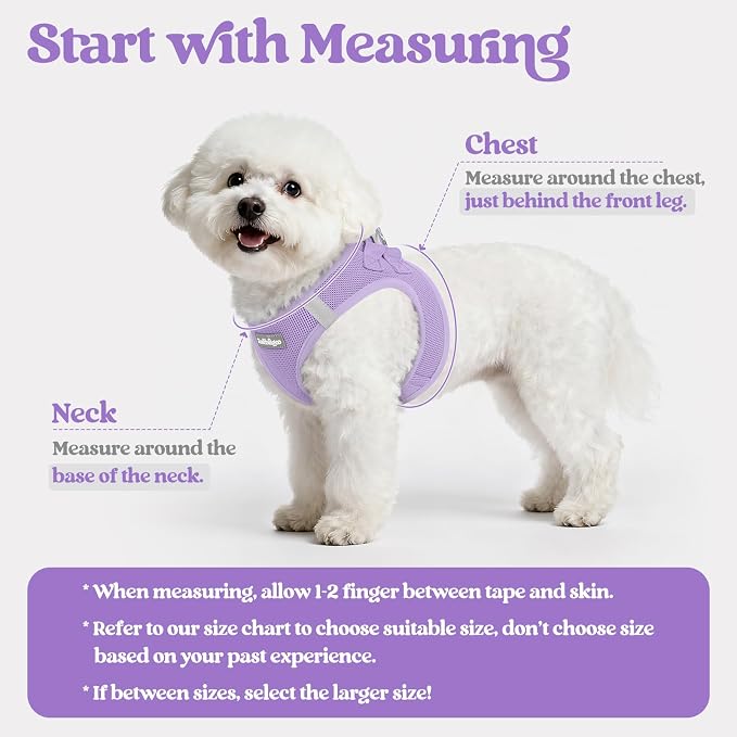 rabbitgoo Dog Harness Small Medium Sized and Leash Set, Step in Soft Light - Image 2