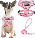 PUPTECK Soft Mesh Dog Harness and Leash Set Pet Puppy Cat Comfort Padded Vest by PUPTECK