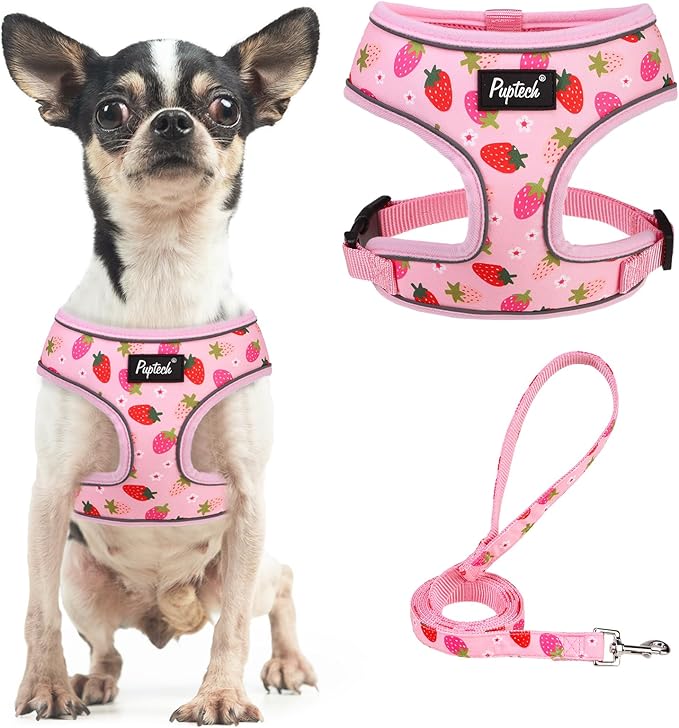 PUPTECK Soft Mesh Dog Harness and Leash Set Pet Puppy Cat Comfort Padded Vest by PUPTECK