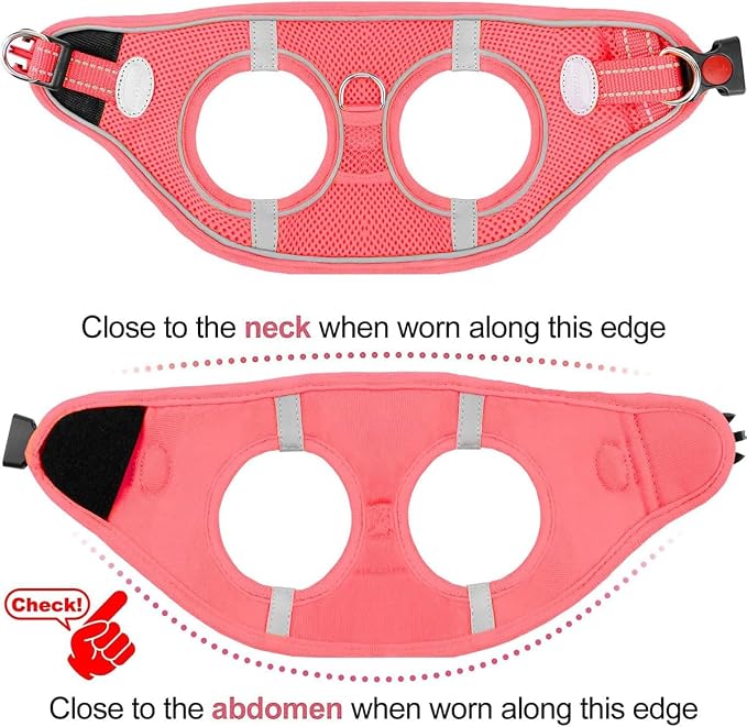 Joytale Small Dog Harness, Breathable Mesh Step-in Vest, Reflective Soft Padded - Image 6