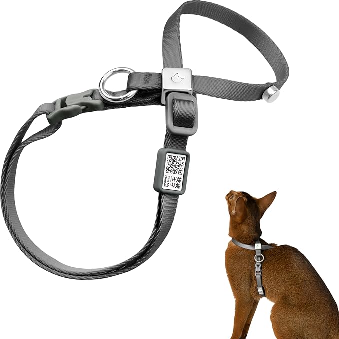 Escape Proof Cat Harness Anti-Choke Quick Release Adjustable QR Code Soft Nylon by BuddyArmor