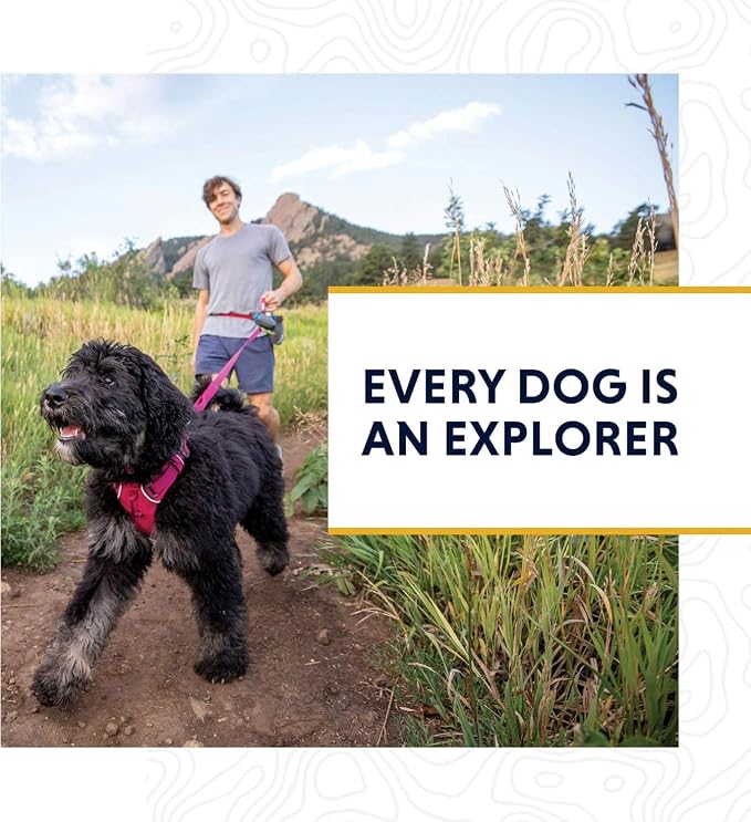 Ruffwear, Crag Dog Collar, Stylish Adventure Collar - Image 9