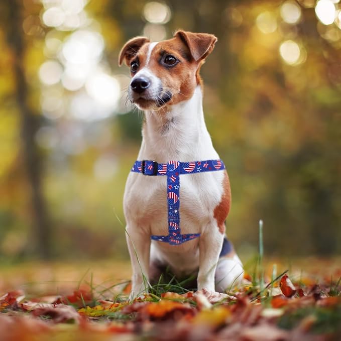 PUPTECK No Pull Dog Harness Soft Adjustable Basic Nylon Step in Puppy Vest - Image 5
