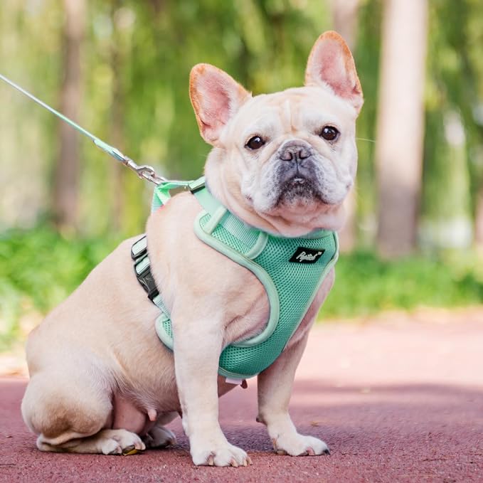 PUPTECK Small Dog Harness and Leash Set, No Pull Adjustable Puppy Cat Harness - Image 6